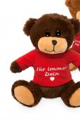 Bär mit Shirt und Sprüchen 20cm - Avaloon Party-Deko-Geschenke