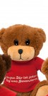 Bär mit Shirt und Sprüchen 20cm - Avaloon Party-Deko-Geschenke