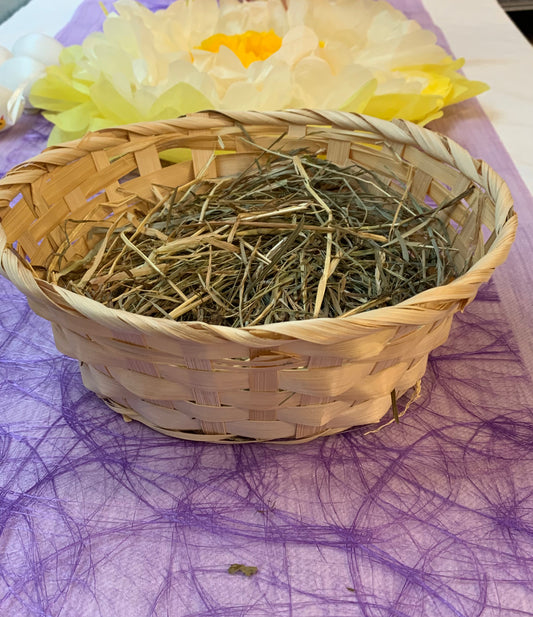 Osterkorb - Avaloon Party-Deko-Geschenke