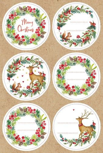 Sticker Nature 11,5x17cm - Avaloon Party-Deko-Geschenke