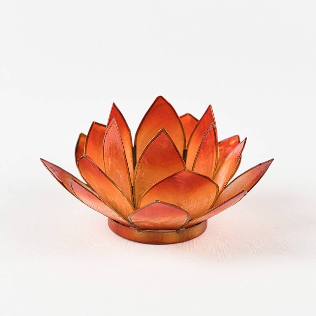 Lotus Lichter - Avaloon Party-Deko-Geschenke