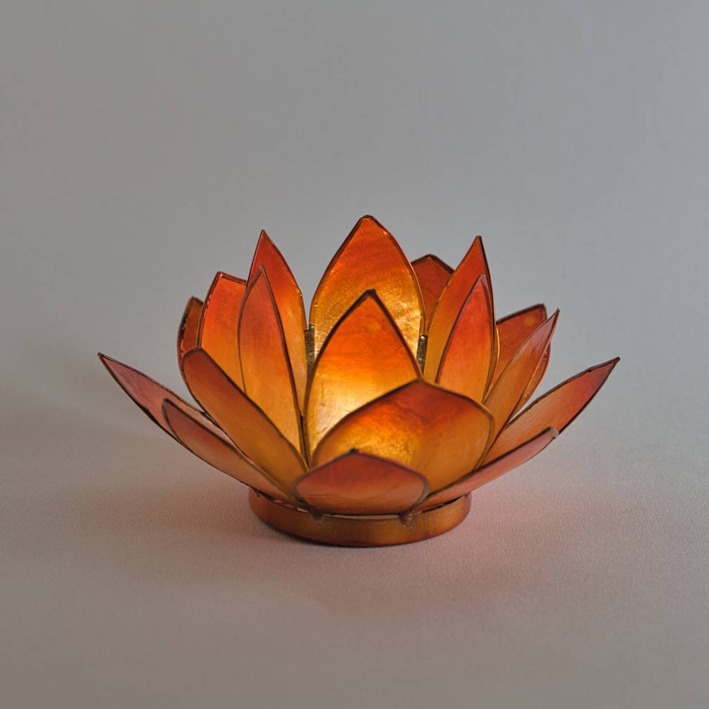 Lotus Lichter - Avaloon Party-Deko-Geschenke