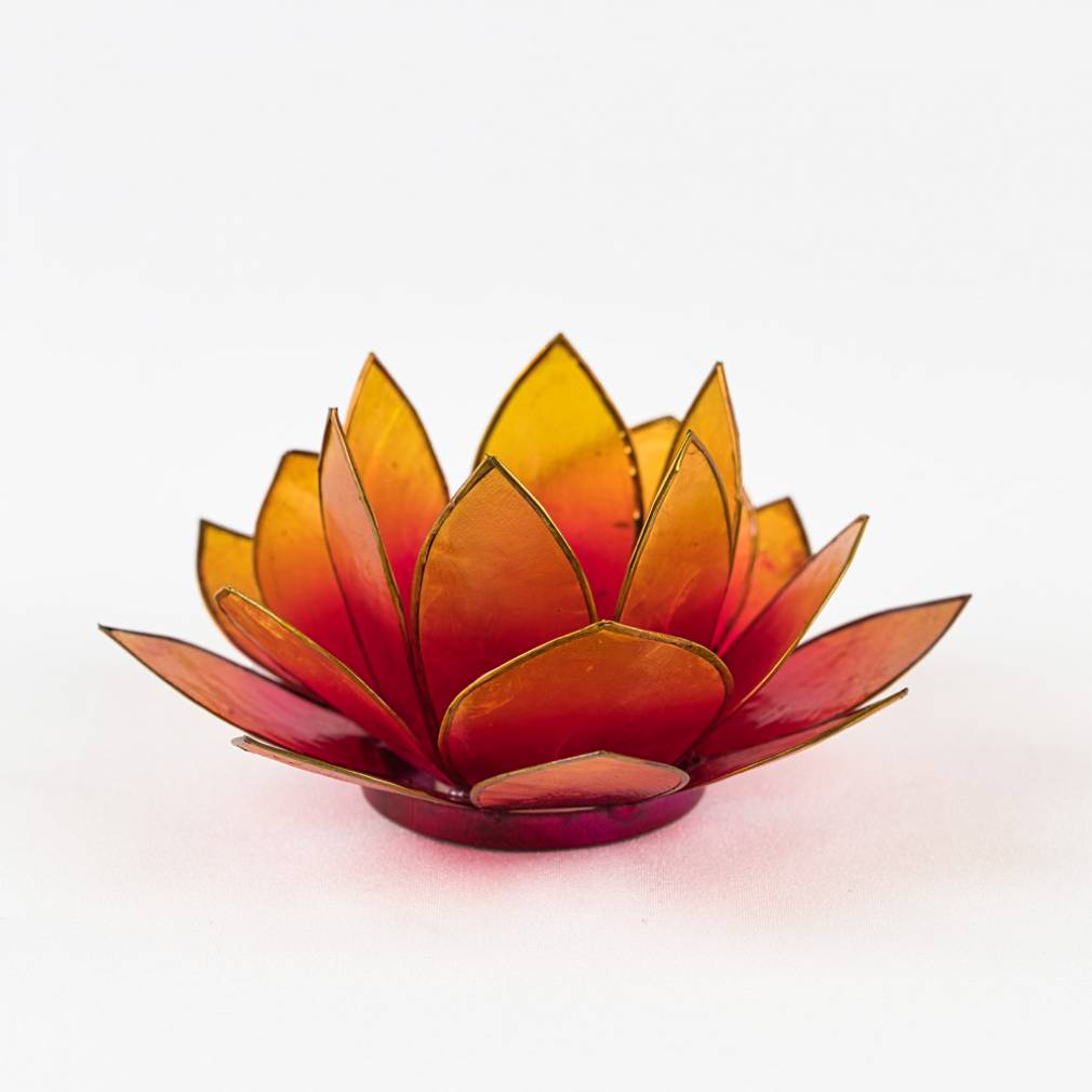 Lotus Lichter - Avaloon Party-Deko-Geschenke