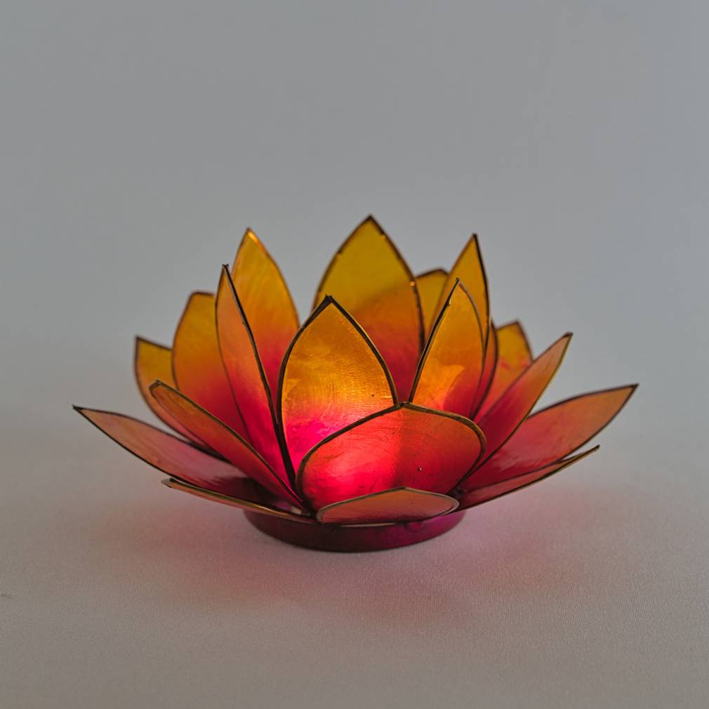 Lotus Lichter - Avaloon Party-Deko-Geschenke