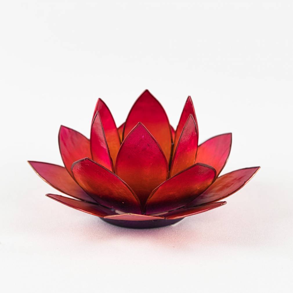 Lotus Lichter - Avaloon Party-Deko-Geschenke