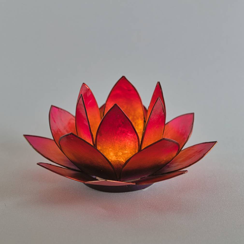 Lotus Lichter - Avaloon Party-Deko-Geschenke