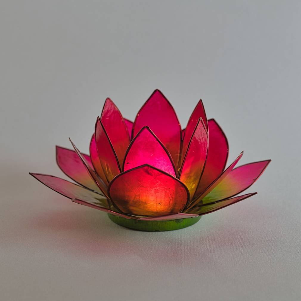 Lotus Lichter - Avaloon Party-Deko-Geschenke