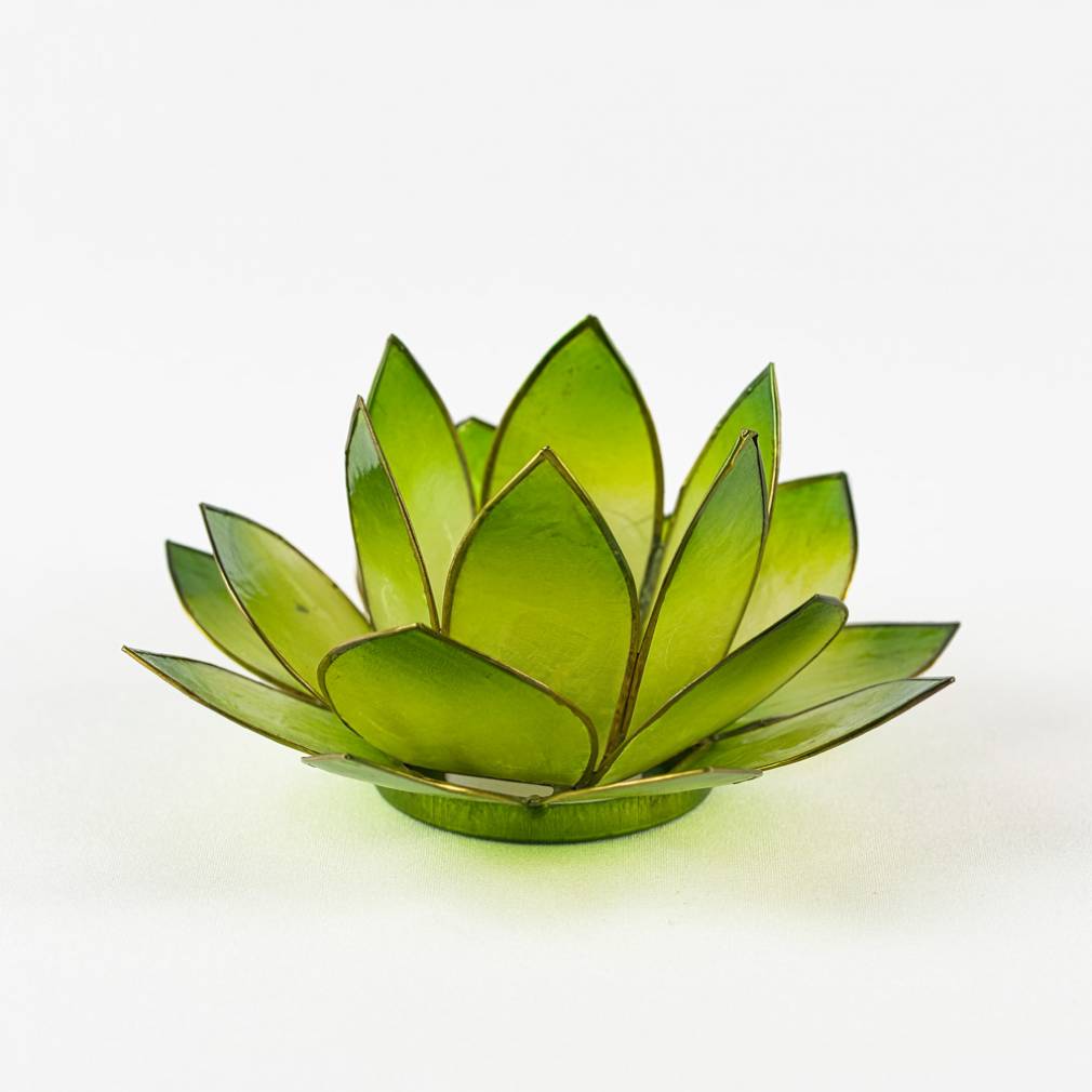 Lotus Lichter - Avaloon Party-Deko-Geschenke