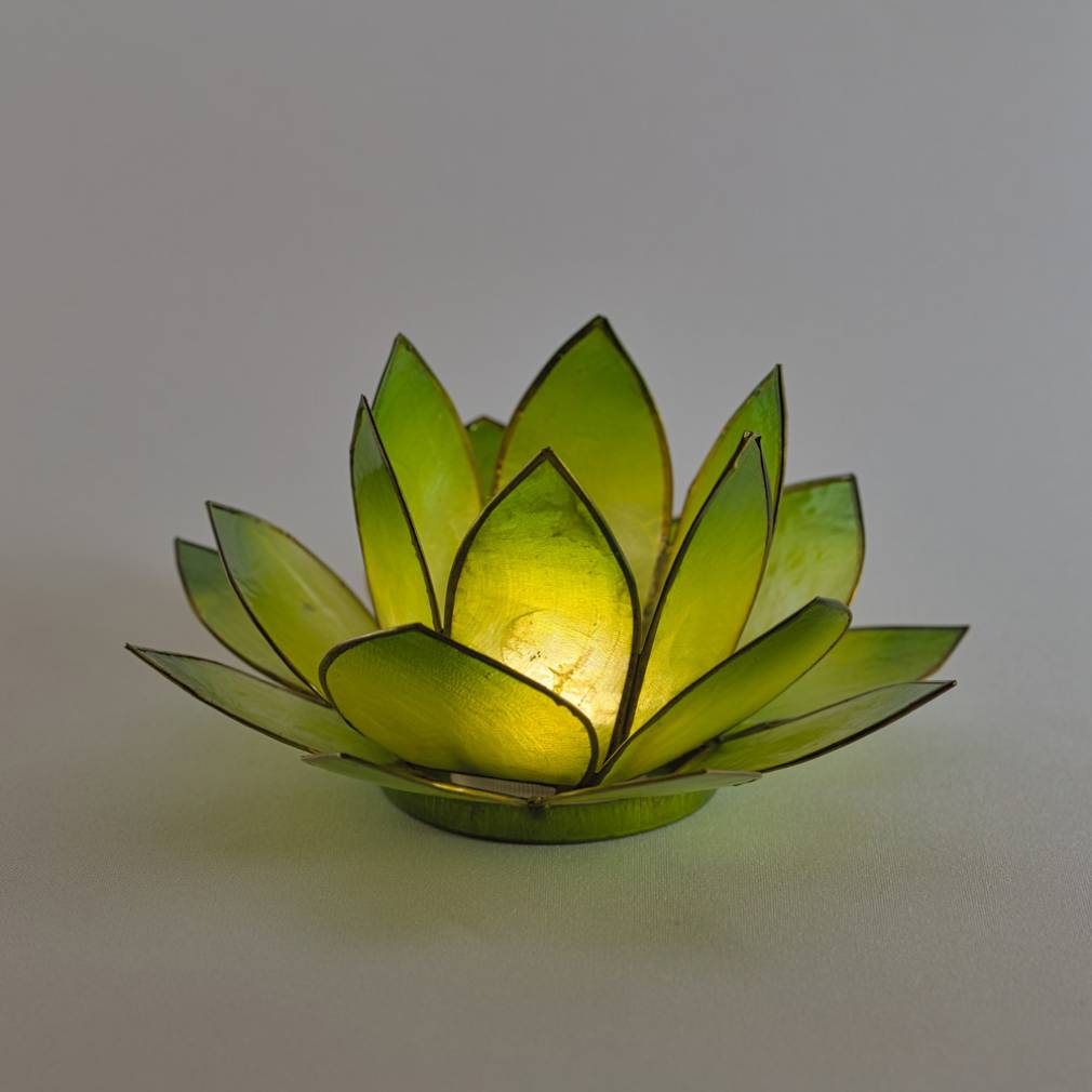 Lotus Lichter - Avaloon Party-Deko-Geschenke