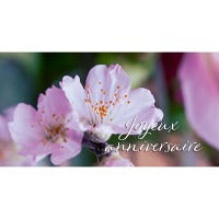 Mini carte double Joyeux anniversaire - Avaloon Party-Deko-Geschenke