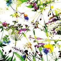 Minifaltkarte Wildblumen bunt - Avaloon Party-Deko-Geschenke