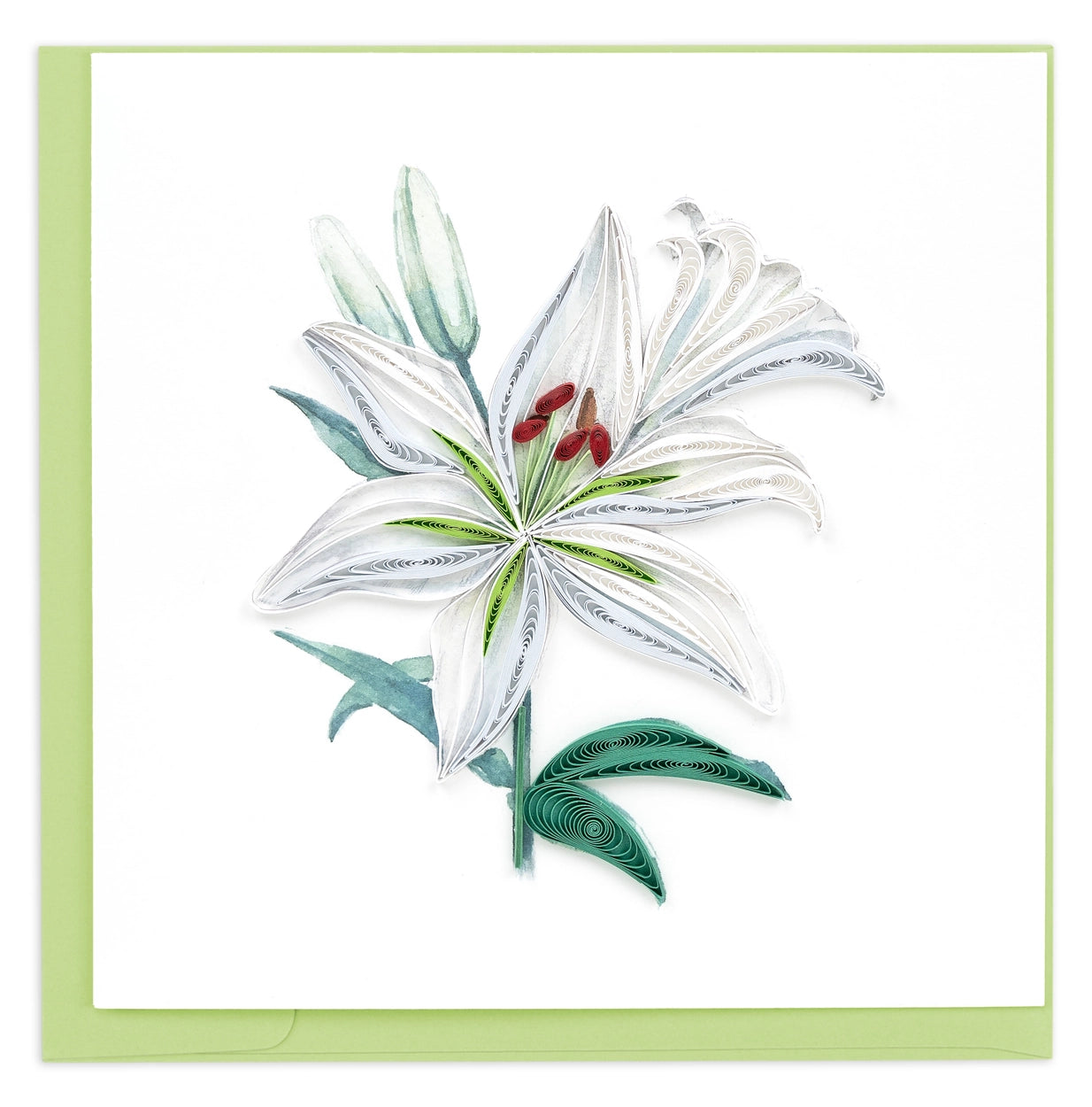 Karte Blüte der Madonnenlilie