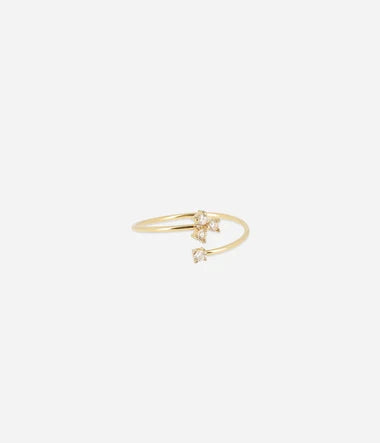 Rosillo-Ring